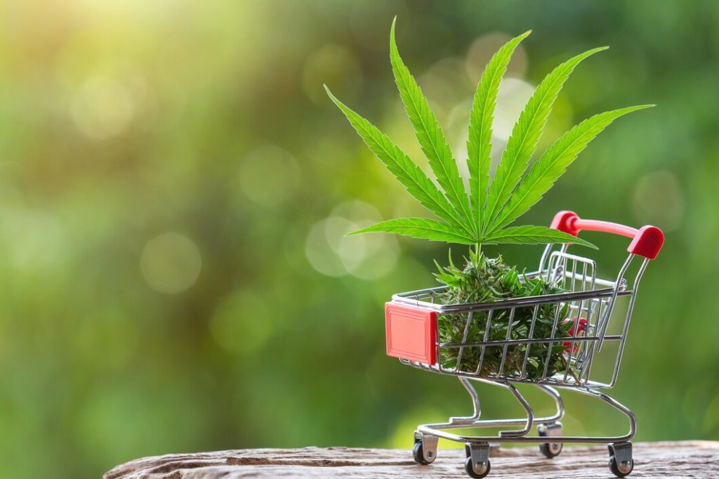 cannabis
