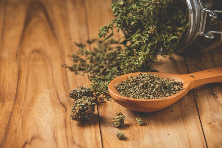 Indica vs. Sativa vs. Hybrid